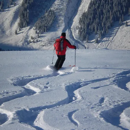 Alpenland Apartmán Auffach